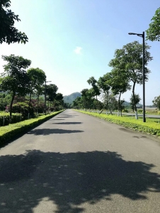 焦作洋塱湖道路景观