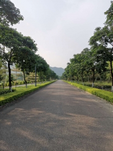 濮阳道路景观