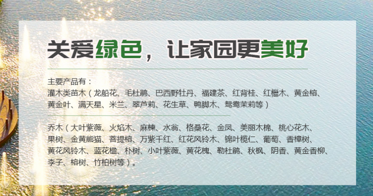 苗木培育培植