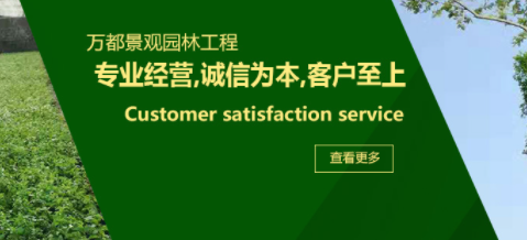 苗木培育培植价格